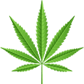 Cannabis