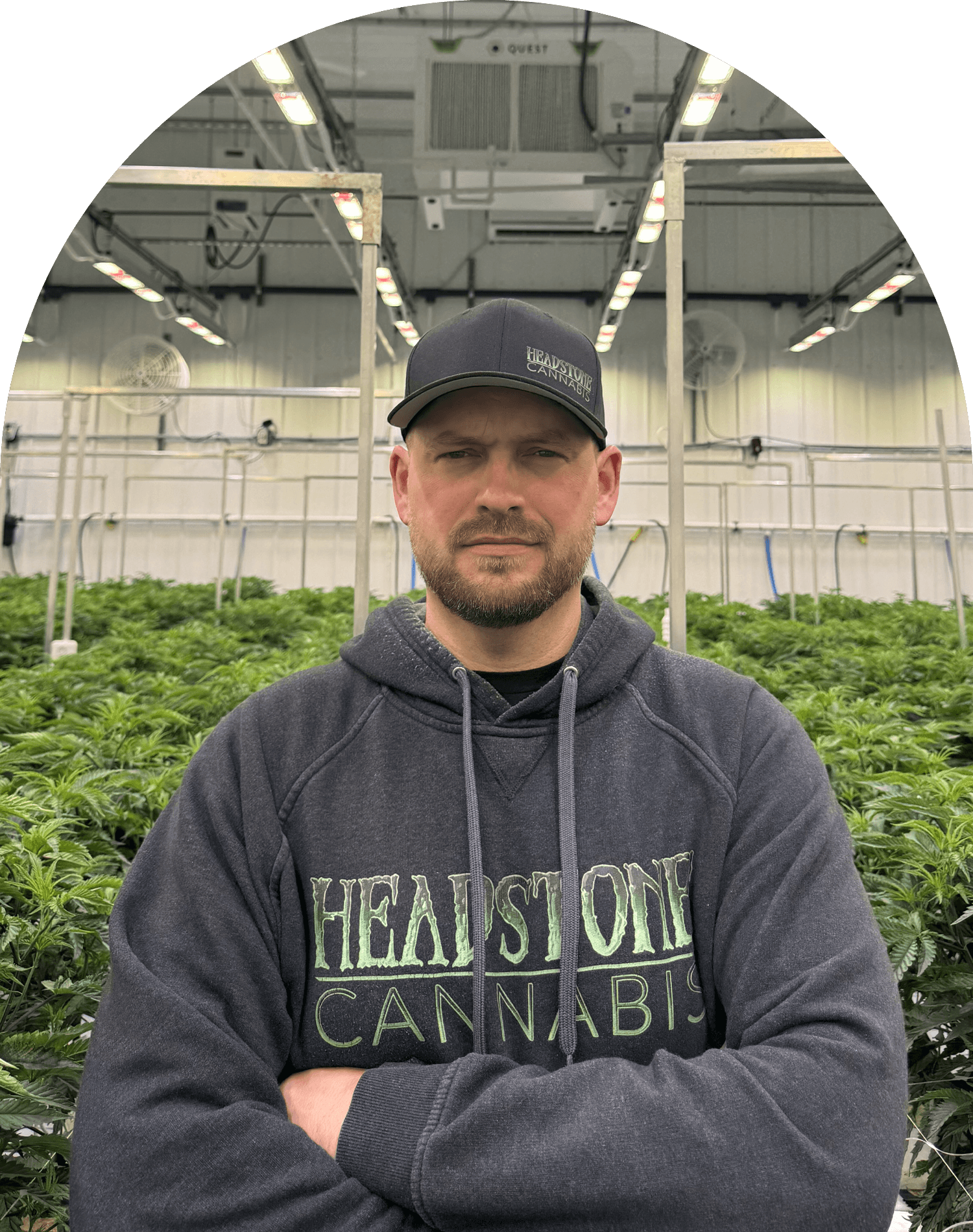 Headstone Cannabis - Chief Executive Officer - Lindsay Miller