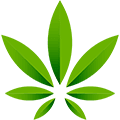 Cannabis
