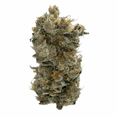 Lamb of God - Headstone Cannabis