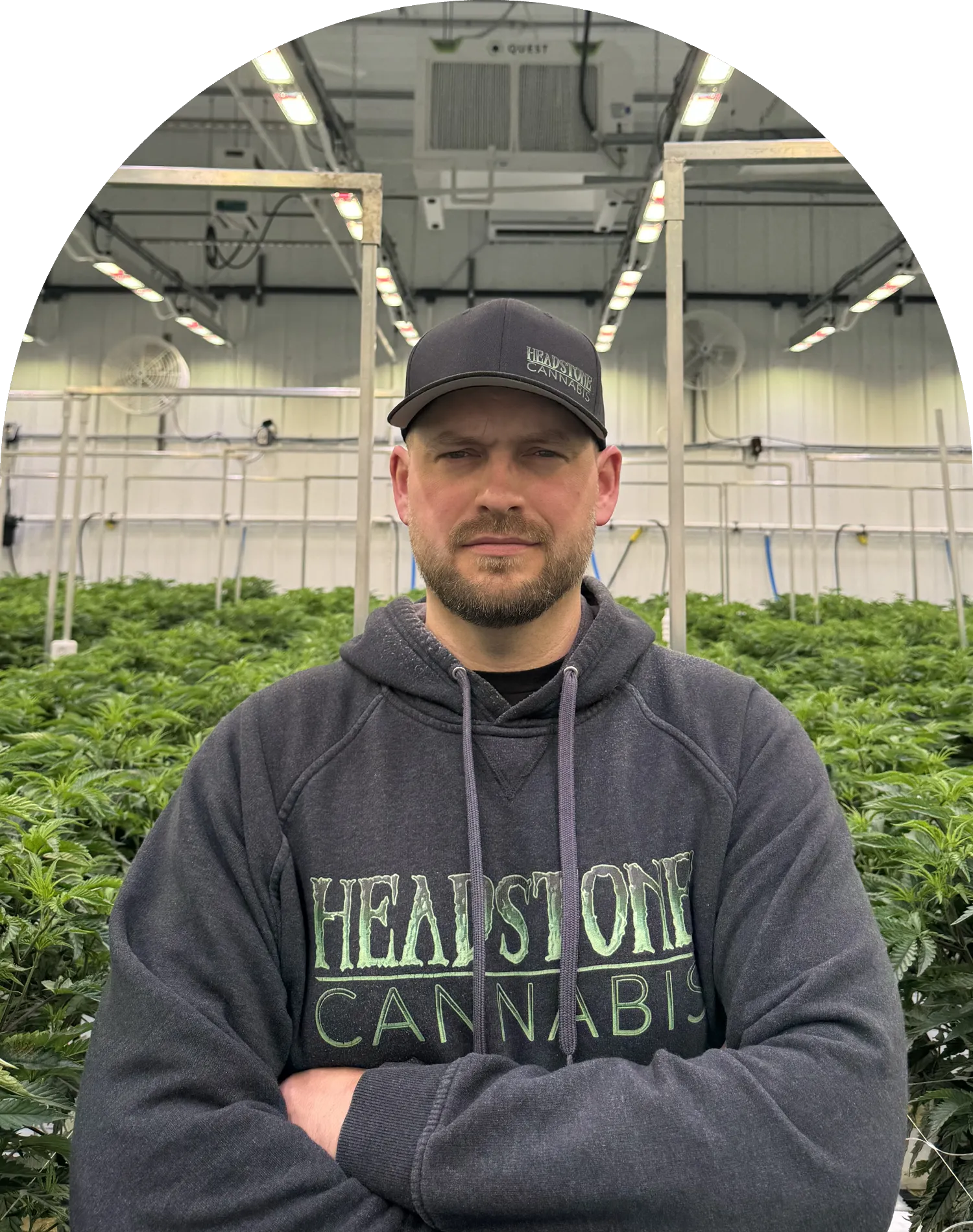 Headstone Cannabis - Chief Executive Officer - Lindsay Miller